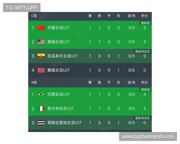 世界杯A组官方积分榜最新排名公布，深入分析各队战绩、积分及未来比赛走势